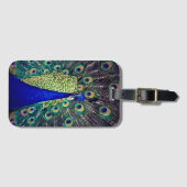 Étiquette À Bagage Cobalt Blue Peacock (Devant Horizontal)