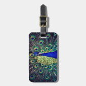 Étiquette À Bagage Cobalt Blue Peacock (Devant Vertical)