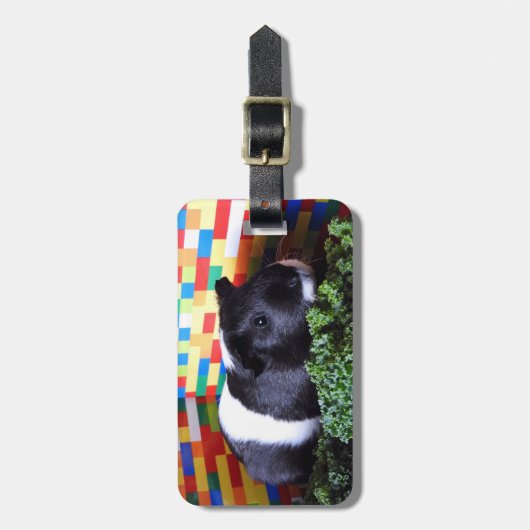 Étiquette À Bagage Cobaye (Devant Vertical)