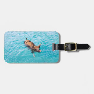 Étiquette À Bagage Cochon de natation d'Exuma