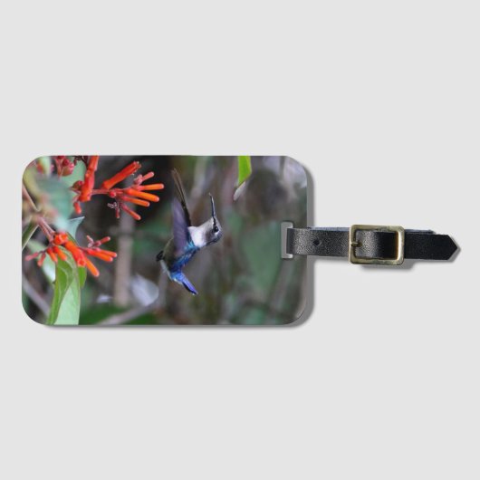 Étiquette À Bagage Colibri en vol et fleurs rouges (Devant Horizontal)