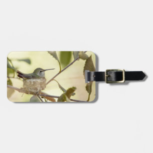 Étiquette À Bagage Colibri femelle sur son nid