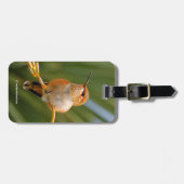 Étiquette À Bagage Colibri roux au repos (Devant horizontal)