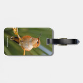 Étiquette À Bagage Colibri roux au repos (Dos horizontal)