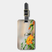 Étiquette À Bagage Colibri sur un plante à fleurs (Devant Vertical)