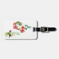 Colibris Throated rouges