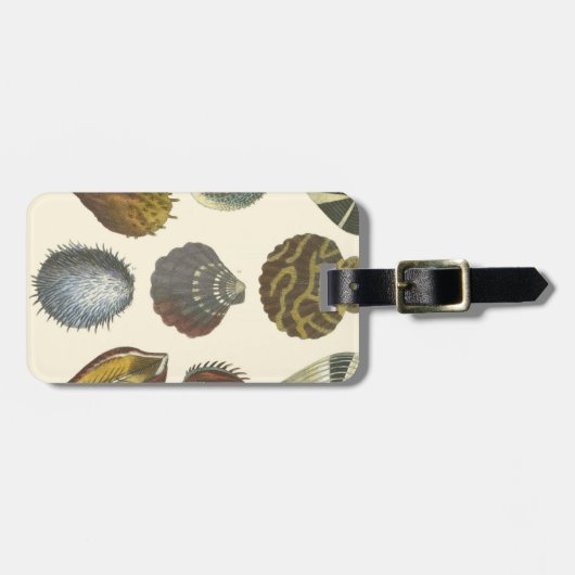 Étiquette À Bagage Collection Conchology (Devant horizontal)