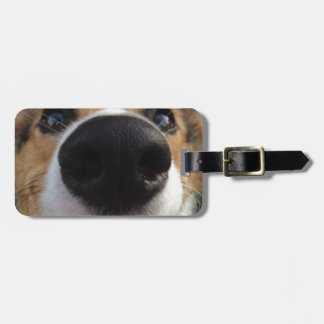 Étiquette À Bagage Collection de nez de chien de corgi de Gallois