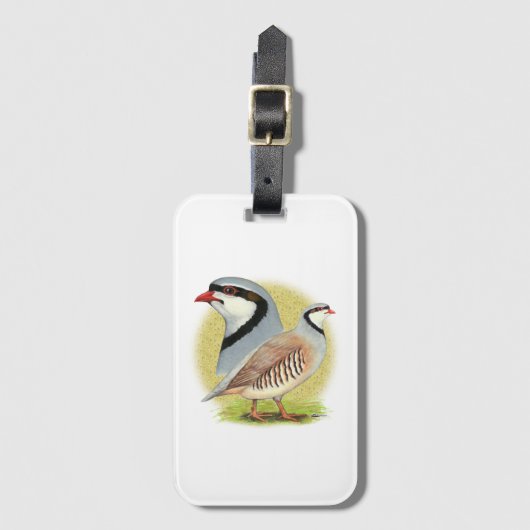 Étiquette À Bagage Combo de perdrix de Chukar (Devant Vertical)