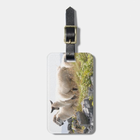 Étiquette À Bagage Conception risquée - Moutons dans un champ (Devant Vertical)