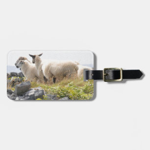 Étiquette À Bagage Conceptions originales - Moutons dans un champ