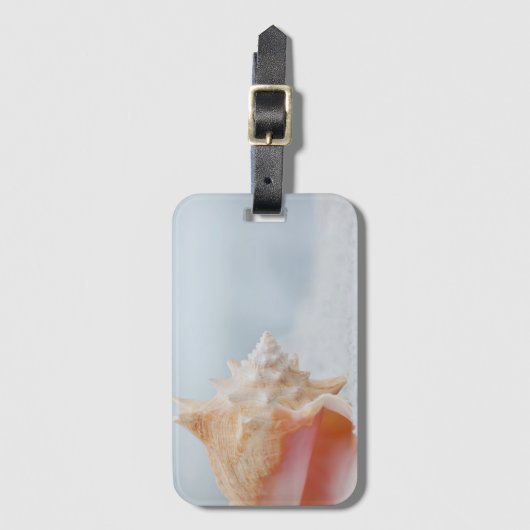 Étiquette À Bagage Conque Shell | la Floride (Devant Vertical)