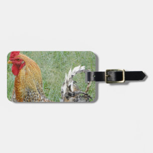 Étiquette À Bagage Coq