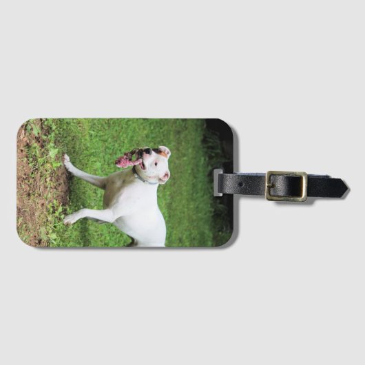 Étiquette À Bagage Coque carte de visite de boîte (Devant Horizontal)
