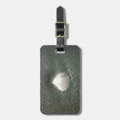 Étiquette À Bagage Coquillage dans le sable : Un souvenir salé (Devant Vertical)