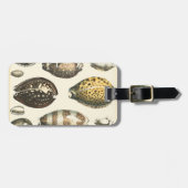 Étiquette À Bagage Coquillages De Forme Unique (Devant horizontal)