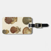 Étiquette À Bagage Coquilles antiques craquelées (Devant horizontal)