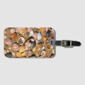 Étiquette À Bagage Coquilles sur une plage sablonneuse | Andalousie, (Devant Horizontal)