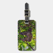 Étiquette À Bagage Costa Rica - Happy Lazy Sloth, Antonio Manuel NP (Devant Vertical)