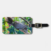 Étiquette À Bagage Costa Rica, Muelle - Lazy Iguana reposant dans un  (Devant horizontal)