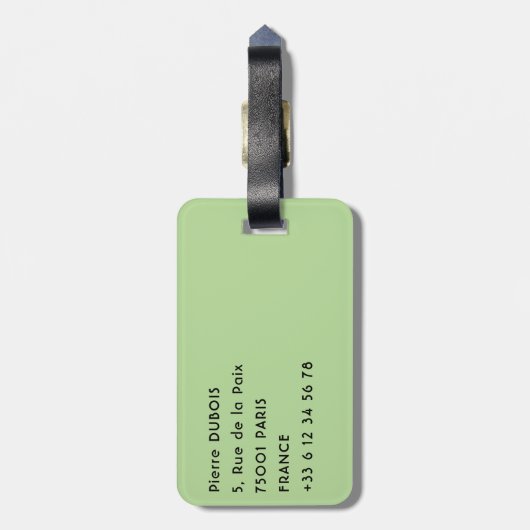 Étiquette À Bagage Costa Rica, Muelle - Lazy Iguana reposant dans un  (Dos Vertical)