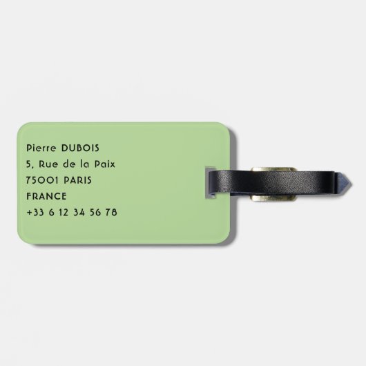 Étiquette À Bagage Costa Rica, Muelle - Lazy Iguana reposant dans un  (Dos horizontal)