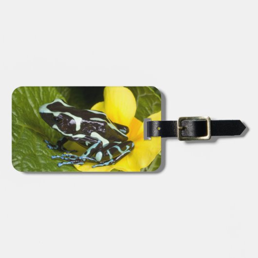 Étiquette À Bagage Costa Rica, Péninsule d'Osa (Devant horizontal)