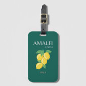 Étiquette À Bagage Côte d'Amalfi, Italie, Art Voyage, Rétro, Vert (Devant Vertical)