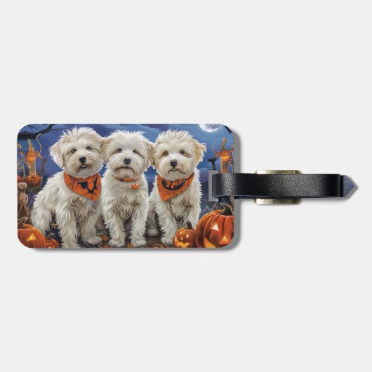 Étiquette À Bagage Coton De Tulear Halloween Éffrayant (Dos horizontal)