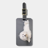 Étiquette À Bagage Coton de Tulear - Joci (Devant Vertical)