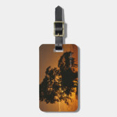 Étiquette À Bagage Coucher de soleil de Savannah (Devant Vertical)
