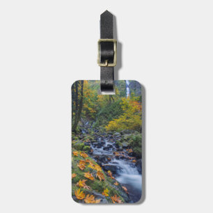 Étiquette À Bagage Couleur d'automne le long des chutes du ruisseau S