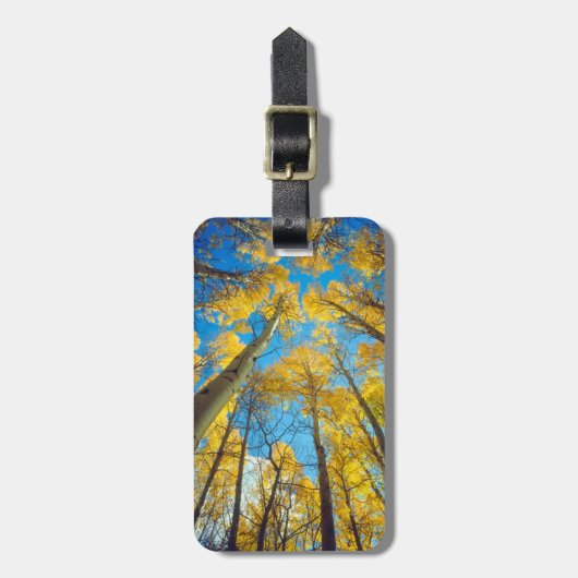 Étiquette À Bagage Couleurs automnales d'Aspen 2 (Devant Vertical)