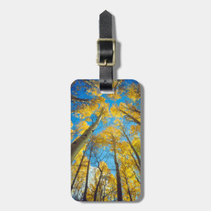 Étiquette À Bagage Couleurs d'automne des arbres d'Aspen 2