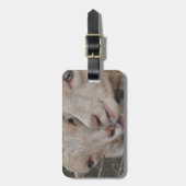 Étiquette À Bagage Couples de chèvre (Devant Vertical)