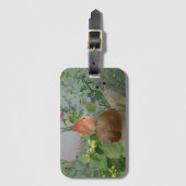 Étiquette À Bagage Course de l'escargot (Devant Vertical)