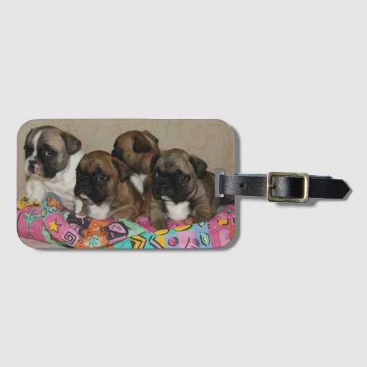 Étiquette À Bagage Coussin Bouledogues Français French Bulldog (Devant Horizontal)
