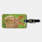 Étiquette À Bagage Couteau Bunny Chewing Greens sur le Golf Fairway (Devant horizontal)