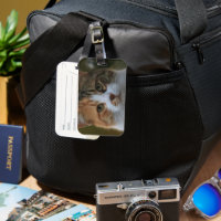 Créez Votre Propre Photo de Chat Personnalisée