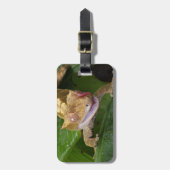 Étiquette À Bagage Crested Gecko (Devant Vertical)