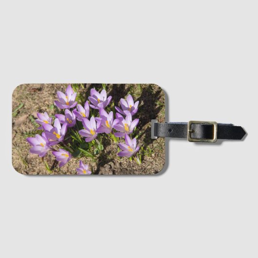 Étiquette À Bagage Crocus de printemps mignons (Devant Horizontal)