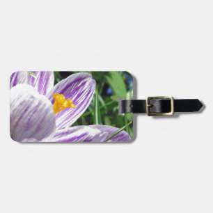 Étiquette À Bagage Crocus de printemps violet