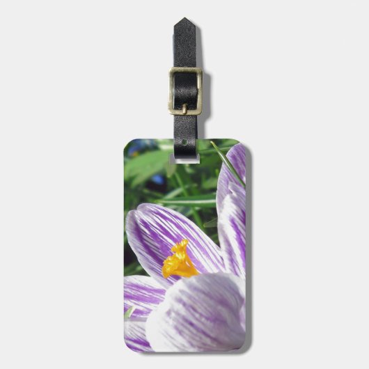 Étiquette À Bagage Crocus de printemps violet (Devant Vertical)