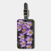 Étiquette À Bagage Crocus violets ensoleillés (Devant Vertical)