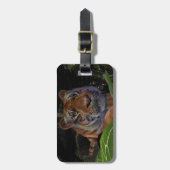 Étiquette À Bagage Crouching des tigres dans la jungle (Devant Vertical)