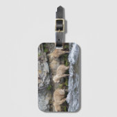 Étiquette À Bagage CUB de 128 Grazer aux automnes de ruisseaux - (Devant Vertical)