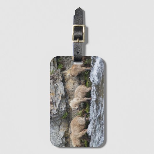 Étiquette À Bagage CUB de 128 Grazer aux automnes de ruisseaux - (Devant Vertical)