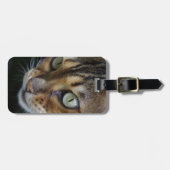 Étiquette À Bagage Curieux chat au Bengale (Devant horizontal)