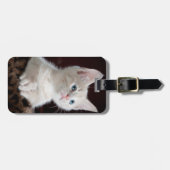 Étiquette À Bagage Curieux chaton (Devant horizontal)