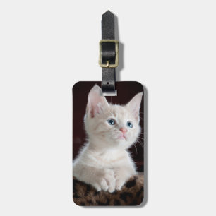 Étiquette À Bagage Curieux chaton